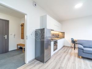 Pronájem bytu 1+kk, Kralupy nad Vltavou, S. K. Neumanna, 33 m2