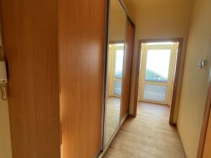 Pronájem bytu 1+1, Břeclav, Riegrova, 45 m2