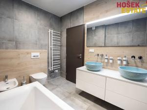 Prodej rodinného domu, Svinošice, 239 m2