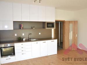 Pronájem bytu 1+kk, Praha - Chodov, Klapálkova, 33 m2