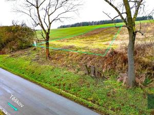 Prodej pozemku pro bydlení, Těškov, 1300 m2