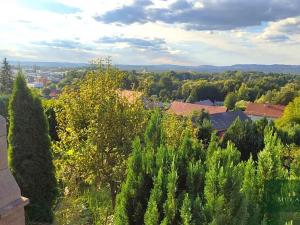 Prodej chaty, Těšovice, 35 m2