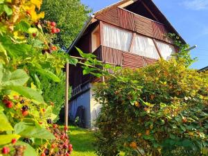 Prodej chaty, Těšovice, 35 m2