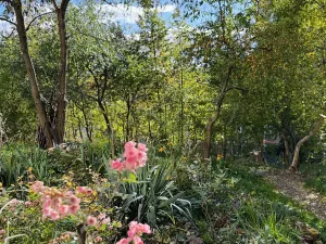 Prodej bytu 3+kk, Praha - Libeň, Budilova, 70 m2