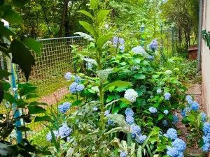 Prodej rodinného domu, Rokycany, K Borku, 94 m2