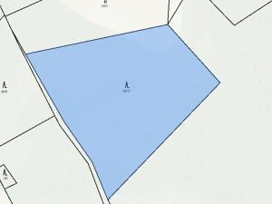 Prodej lesa, Štíty, 93672 m2