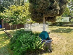 Prodej chaty, Borohrádek, 25 m2