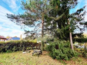 Prodej chalupy, Skvrňov, 95 m2