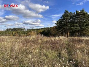 Prodej pozemku pro bydlení, Radošovice, 723 m2