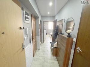 Prodej bytu 4+1, Meziboří, Okružní, 70 m2