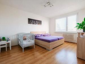 Prodej bytu 2+1, Třebíč, Fr. Hrubína, 54 m2