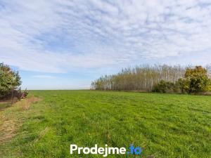 Prodej pozemku pro bydlení, Přešovice, 3854 m2