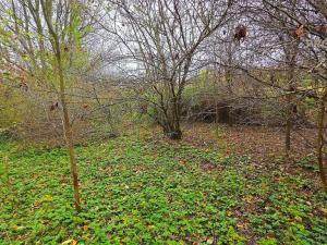 Prodej pozemku pro bydlení, Uhřice, 801 m2