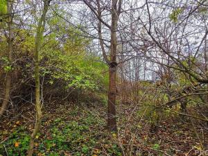 Prodej pozemku pro bydlení, Uhřice, 801 m2