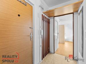 Prodej bytu 1+1, Mladá Boleslav - Mladá Boleslav II, 17. listopadu, 36 m2