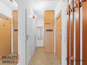 Prodej bytu 1+1, Mladá Boleslav - Mladá Boleslav II, 17. listopadu, 36 m2