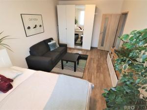 Pronájem bytu 1+1, Ostrava - Moravská Ostrava, Petra Křičky, 40 m2