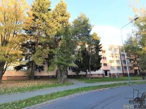 Pronájem bytu 1+1, Ostrava - Moravská Ostrava, Petra Křičky, 40 m2