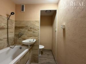 Pronájem bytu 1+1, Chomutov, Březenecká, 38 m2