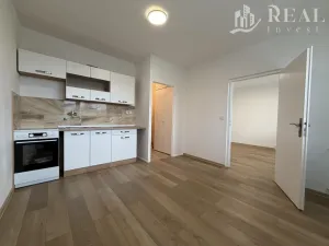 Pronájem bytu 1+1, Chomutov, Březenecká, 38 m2