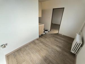 Pronájem bytu 2+1, Ústí nad Labem, Ladova, 62 m2