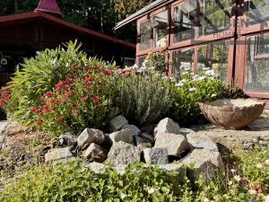 Prodej zahrady, Konstantinovy Lázně, 315 m2