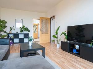 Prodej bytu 3+1, Nová Paka, K Hájku, 71 m2