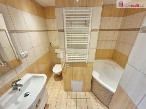 Pronájem bytu 1+1, Roudnice nad Labem, Bořivojova, 35 m2