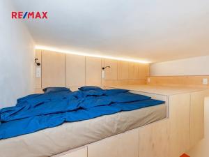 Pronájem bytu 1+kk, Praha - Josefov, Žatecká, 27 m2