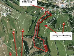 Prodej komerční nemovitosti, Mladé Buky - Kalná Voda, 170 m2