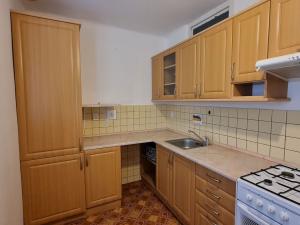 Pronájem bytu 2+1, Plzeň, Brožíkova, 52 m2