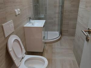 Pronájem bytu 2+kk, Praha, Svobodova, 50 m2