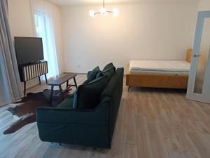 Pronájem bytu 1+kk, České Budějovice 2, O. Nedbala, 42 m2