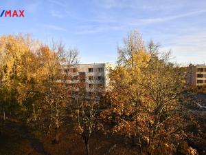 Prodej bytu 1+1, Hradec Králové, Truhlářská, 35 m2