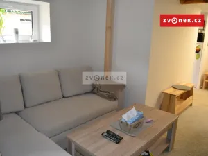 Pronájem rodinného domu, Bystřička, 40 m2