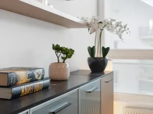 Prodej bytu 1+kk, Praha - Motol, Kudrnova, 36 m2