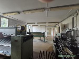 Pronájem výrobních prostor, Světice, V Zahradách, 250 m2