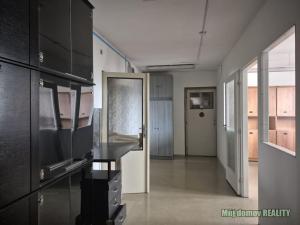 Pronájem výrobních prostor, Světice, V Zahradách, 250 m2