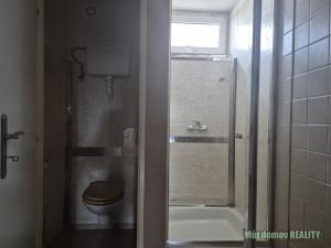 Pronájem výrobních prostor, Světice, V Zahradách, 250 m2