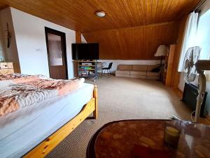 Prodej chalupy, Vysoké Veselí, 290 m2