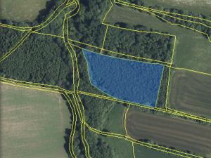 Prodej lesa, Lánov - Horní Lánov, 15996 m2