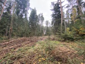 Prodej lesa, Srbice - Těšovice, 3279 m2