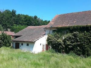 Dražba rodinného domu, Horšovský Týn, 316 m2