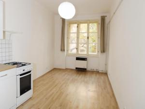 Prodej bytu 2+kk, Praha - Žižkov, Žerotínova, 40 m2