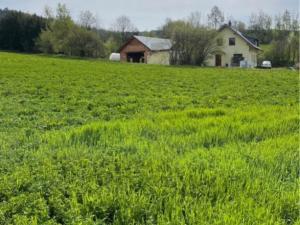 Prodej pozemku pro bydlení, Dolany - Svrčovec, 882 m2