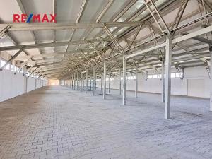 Pronájem skladu, Dolní Chvatliny, 3690 m2
