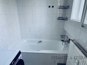 Pronájem bytu 1+1, Praha - Smíchov, Franty Kocourka, 55 m2