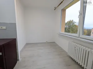 Pronájem bytu 3+1, Bílina - Teplické Předměstí, Sídliště Za Chlumem, 64 m2