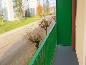 Pronájem bytu 2+1, Nové Město na Moravě, Tyršova, 59 m2