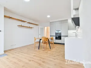 Pronájem bytu 2+kk, Brno - Ponava, Střední, 55 m2
